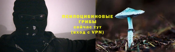 прущие крисы Медногорск