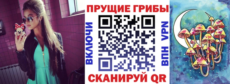 Псилоцибиновые грибы GOLDEN TEACHER  купить   Бирюч 